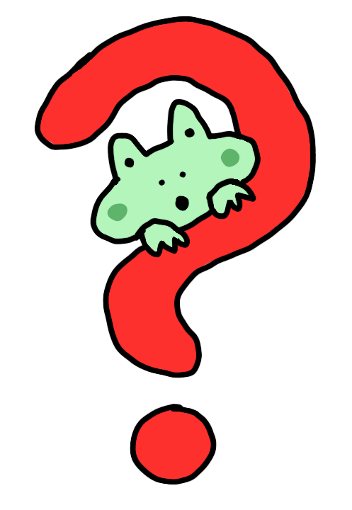 Ask a Toad